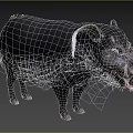 Black Wild Boar Standing In Grassy Field With Bushy Background And Tusks