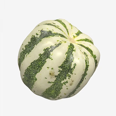 Pumpkin 3d model