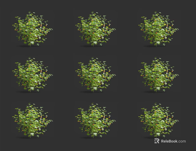 Green Shrub Varieties Displayed On Black Background For Landscaping Projects 3d model