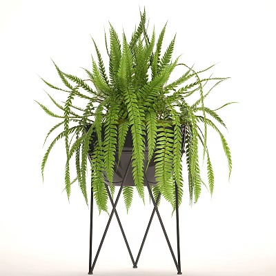 modern potted plant green plant potted plant 3d model
