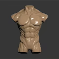Muscular Male Torso Model Showcasing Defined Chest And Abs Muscles Against Dark Background