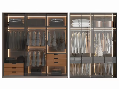 Modern Wardrobe with Glass Doors Hanging Folded Clothes and LED Lighting 3d model