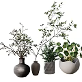 Decorative Vases with Assorted Shapes and Materials Holding Green Foliage and Branches for Indoor Decoration