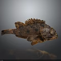 Spotted Brown Fish With Rough Textured Skin And Fins On Dark Reflective Surface