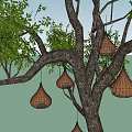 Tree With Hanging Woven Bird Nests And Green Leaves Against Blue Sky