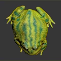 Vibrant Iridescent Frog With Shiny Yellow Green Spots On Dark Background