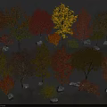 Various Sizes Colorful Trees with Red Yellow Orange Green Foliage and Stones