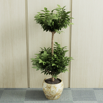 New Chinese potted plant 3d model