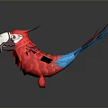 Colorful Red Parrot With Blue Wings And Tail Feathers In Flying Pose