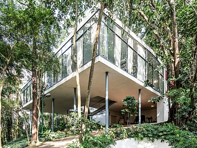 Modern Detached Villa With Glass Facade Surrounded by Lush Trees and Greenery 3d model