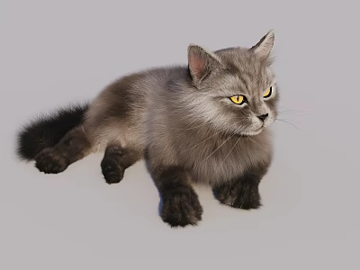 The Modern Cat 3d model The Modern Cat 3d model