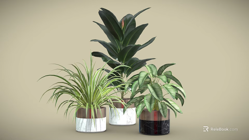 Various Indoor Green Plants in Stylish Marble and Ceramic Planters for Home Decor 3d model 