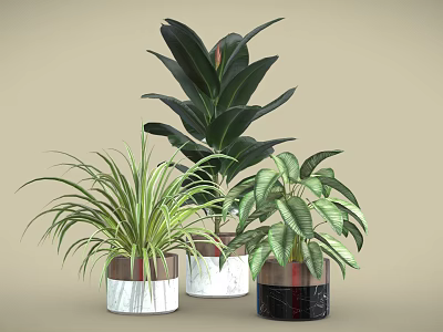 Various Indoor Green Plants in Stylish Marble and Ceramic Planters for Home Decor 3d model