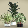 Various Indoor Green Plants in Stylish Marble and Ceramic Planters for Home Decor