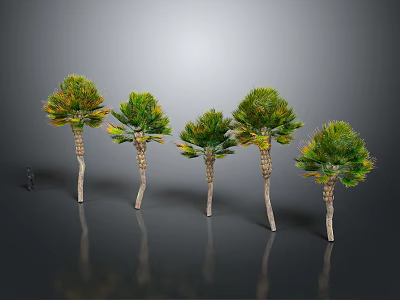 Five Palm Trees Featuring Slender Trunks Green Yellow Leaves Gray Background Ground Reflections 3d model