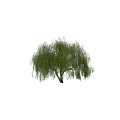 Willow Themed Decorative Ornament Combination With Hanging Branches And Green Foliage