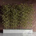 Bamboo Potted Plants in Rectangular White Concrete Planter against Brown Wall with Shadow Effect 3d model