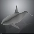 White Whale Model With Sleek Design Displayed On Dark Background Surface 3d model