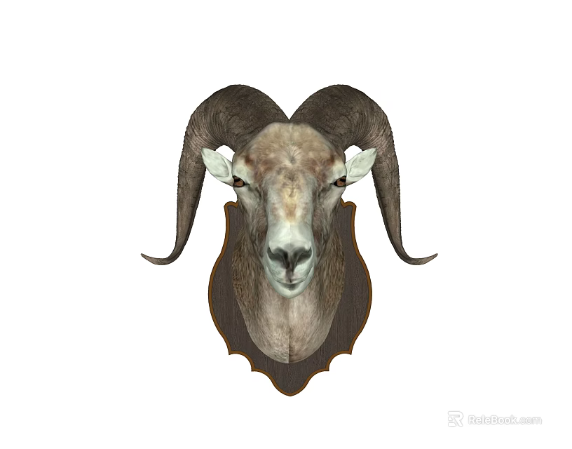 Decorative Realistic Ram Head Animal Wall Decor Hanging for Home Decoration 3d model 