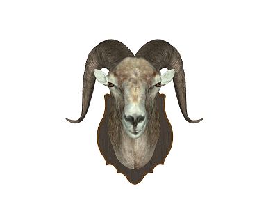 Nordic Sheephead Wall Decorations Country Sheephead Wall Decorations 3d model