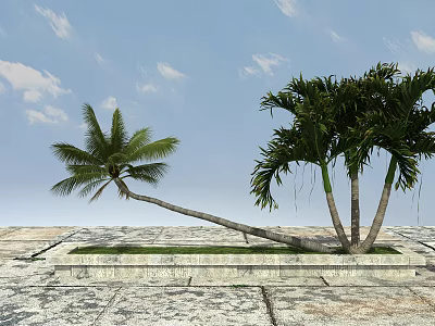 Palm Trees in Stone Pavement Planter with Blue Sky and White Clouds 3d model
