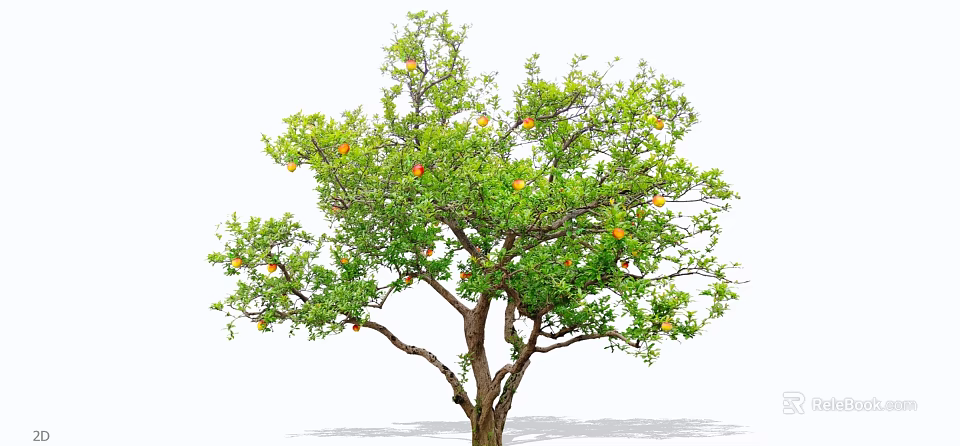 Lush Fruit Arbor With Green Leaves And Ripe Orange Fruits On Branches 3d model 