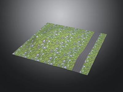 Green Square Surface With Grass Pattern White Flowers And Gray Stripe 3d model