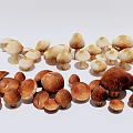 mushroom vegetable 3d model