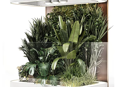 Lush Indoor Landscape With Various Green Plants And Large Tropical Leaves 3d model