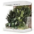 Lush Indoor Landscape With Various Green Plants And Large Tropical Leaves