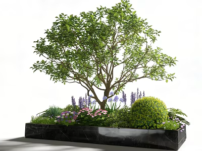 Elegant Plant Combination With Large Tree Purple Pink Flowers Green Shrubs In Black Marble Planter 3d model