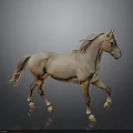 Light Brown Horse Walking on Black Ground with Gray Background and Flowing Mane and Tail