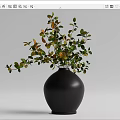 Potted Bonsai Plant with Green and Yellow Leaves in Black Vase for Indoor Decor