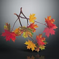 Colorful Autumn Maple Leaves on Branches with Red Yellow Orange Tones