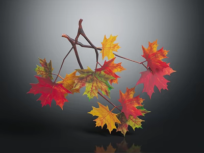 Colorful Autumn Maple Leaves on Branches with Red Yellow Orange Tones 3d model