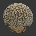Decorative Furniture Sphere With Intricate Textured Design For Modern Home Decor