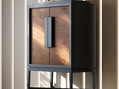 Modern Entryway Side Cabinet With Wooden Door Panel And Black Metal Frame Design 3d model