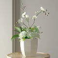 White Vase With Fresh White Flowers And Green Leaves Indoor Arrangement