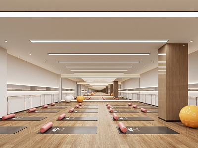 Modern Yoga Room model