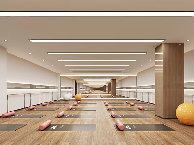 Spacious Fitness Studio With Aligned Mats Yoga Balls Wooden Floor And Modern Lighting 3d model