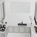 Modern Kitchen With White Cabinets Countertop Sink And Potted Plant