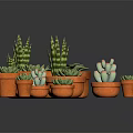 Various Succulent Plants in Terracotta Pots with Green Leaves and Pink Flowers