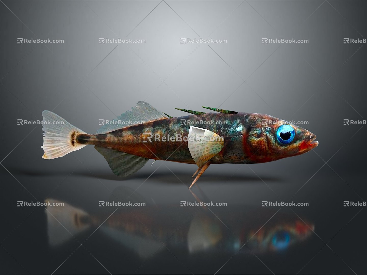 Catfish Carp Sturgeon Bass Freshwater Fish Various Carp Grass Carp Crucian Carp 3d model