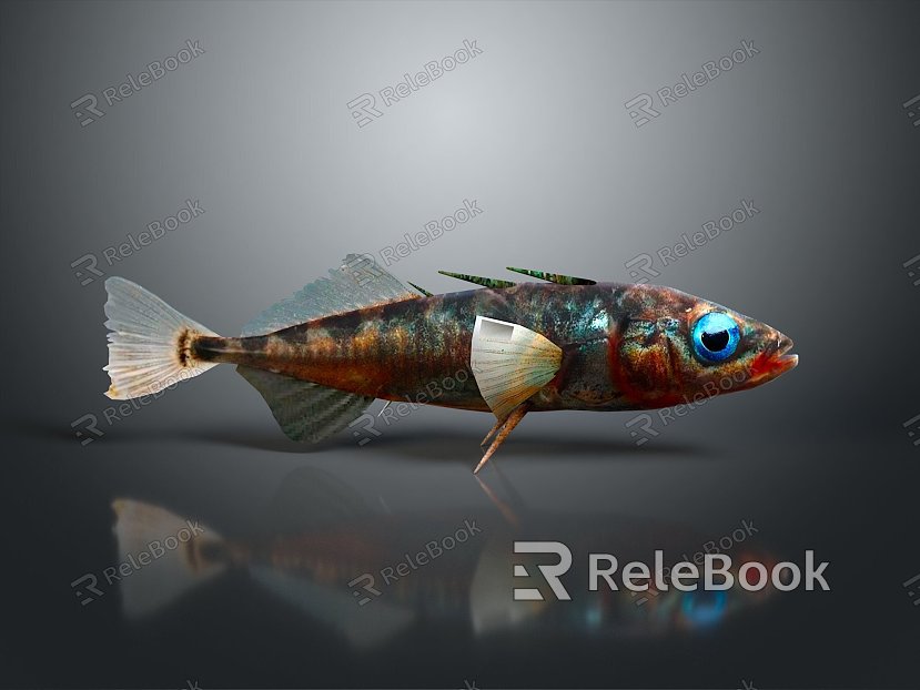 Catfish Carp Sturgeon Bass Freshwater Fish Various Carp Grass Carp Crucian Carp model