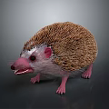 Adorable Hedgehog With Brown Spines Pink Face Open Mouth And Pink Paws On Dark Background