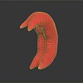 Curved Red Organ and Hair Sculpture with Smooth Surface and Abstract Design