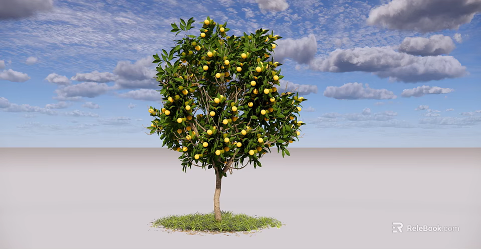 Fruit Bearing Tree With Green Leaves Yellow Fruits And Grass Under Blue Sky White Clouds 3d model 