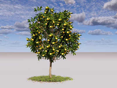 Fruit Bearing Tree With Green Leaves Yellow Fruits And Grass Under Blue Sky White Clouds 3d model