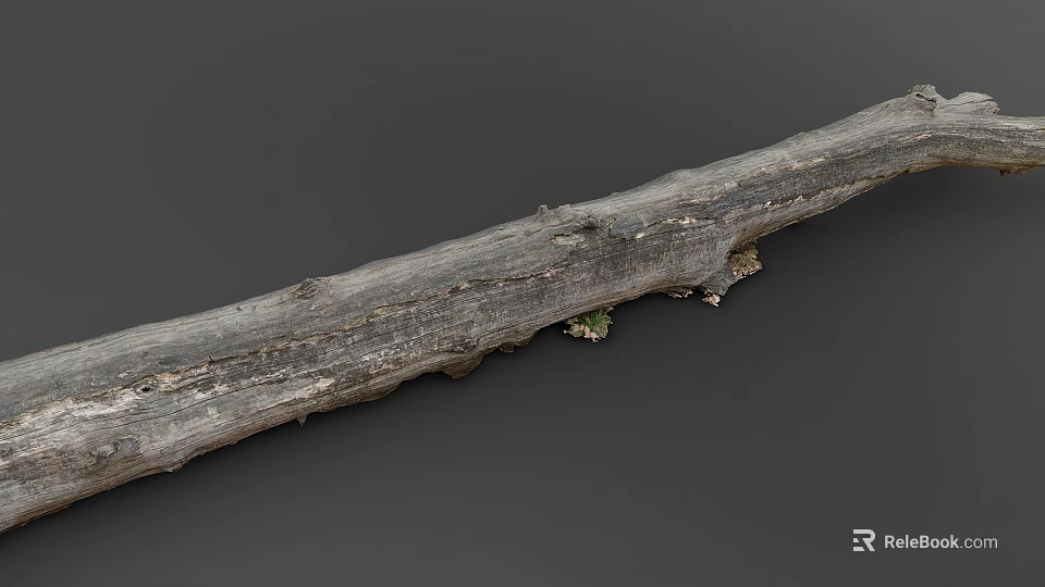 Natural Wooden Stone Log With Rustic Texture And Mossy Surface Details 3d model 
