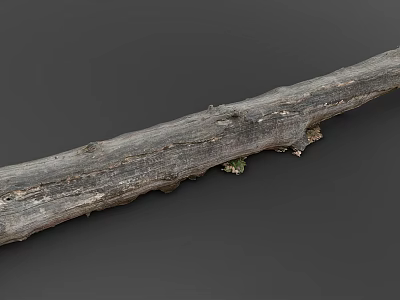 Natural Wooden Stone Log With Rustic Texture And Mossy Surface Details 3d model